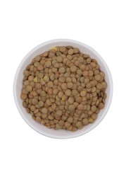 Los Pinos Green Lentils