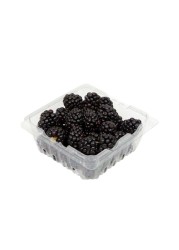 Driscoll&#39;s Organic Blackberries 170g