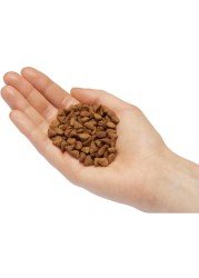 Mera MERAVITAL Weight Control Balanced Dry Food for Healthy Weight Management in Cats 3kg