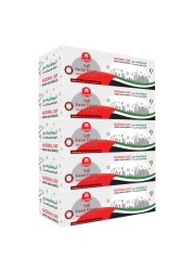 Carrefour National Day United Arab Emirates Soft Facial Tissues White 2 Ply 150 Sheets