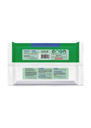 Carrefour Antibacterial Skin Care Wipes Original White 80 Wipes