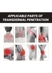 Bee Venom Professional Treatment Gel &ndash; Joint Soothing &amp; Anti-Inflammatory Cream with New Zealand Bee Venom &amp; Herbal Extracts