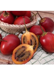 Tamarillo