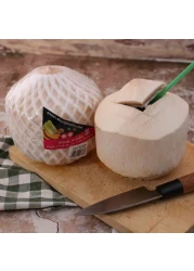 جوز الهند الطري