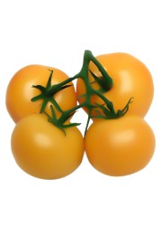 Orange Tomato Bunch