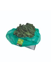 Curly Kale