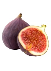 تين طازج