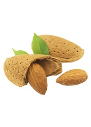 اللوز الطازج بالقشر