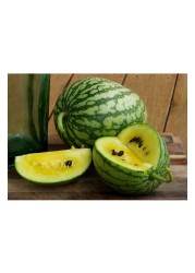 Watermelon Yellow