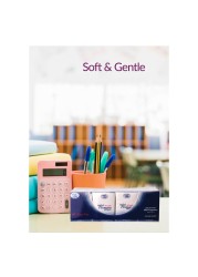Cool &amp; Cool Soft And Gentle Mini Tissues White 10 Sheets Pack of 12