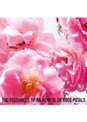 Dior Miss Dior Rose N Roses - Eau de Toilette