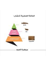 Al Majed Oud Jawharat Al Oud - Eau De Parfum