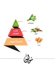 AlMajed Oud Solin perfume for women - Eau De Perfum