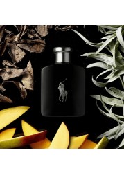 Ralph Lauren Polo Black For Men - Eau De Toilette