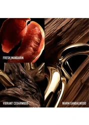 باكو رابان عطر مليون جولد للرجال - او دو برفيوم انتنس