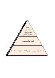 عطر رومانس من رصاصي للنساء - أو دو برفيوم