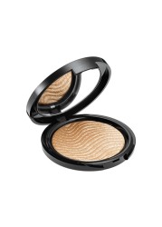 Make Up For Ever Pro Light Fusion Luminizer - 02