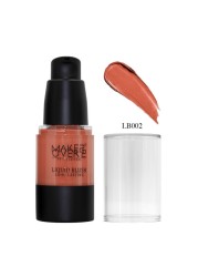 Make Over 22 Long Lasting Liquid Blush - LB002
