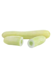 Cucumber White