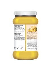 تشينج سيكريت معجون الزنجبيل، 300 غرام