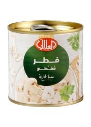 العلالي قطع وسيقان الفطر 200 غرام