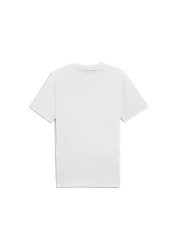 Puma Puma Men's Graphics Mountain White Round Neck T-Shirt