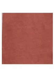 American Eagle AE Oversized Photo Graphic T-Shirt