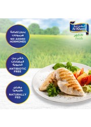 الخزنة صدور دجاج طازجة بدون عظم مجمدة 1 كغ
