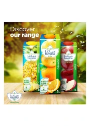 Hayatna Pure Orange Juice Free from preservatives No added sugar 1L