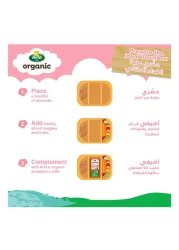 Arla Organic Strawberry Flavour Milk, 200ml