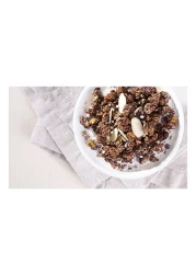Emco Protein Crunchy Granola With Chocolate 500g