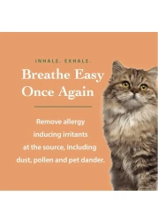 AntiAllergy Laundry Detergent Natural Allergy Free for Pet Dander Allergy Pollen For Sensitive Skin Washing Baby Clothes Unscented