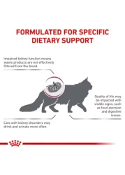 طعام القطط الجاف رويال كانين رينال 2 كجم