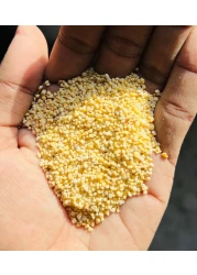 Golden Sand Aquarium Gravel 3 kg - Small Size 1-2mm, Perfect for Nano Tanks &amp; Decorative Use