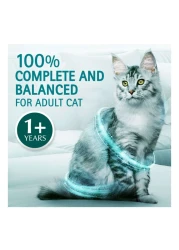 Purina One Visible Hairball Control with Chicken Cat Food, 1 Years and above, 1.2kg