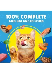 Purina Friskies Salmon, Tuna and Vegetables in Gravy Wet Cat Food, 400g