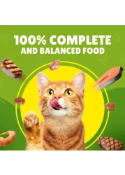 Purina Friskies Chicken Chunks in Gravy Wet Cat Food Pouch, 85g