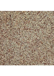 Egardenkart&reg; Daily Budget-Friendly Wild Bird Feed for All types of Wild Birds Small Birds Dove Pigeon Myna Lark Bulbul Sparrow Hoopoe Seed Mix (1)