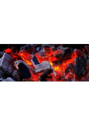 GO2CAMPS Hardwood charcoal-BBQ Natural Charcoal -5 KG