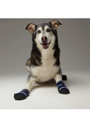 Healers Medical Dog Boots and Bandages Large
