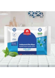 Carrefour Cool Mint Antibacterial Wipes White 20 Wipes