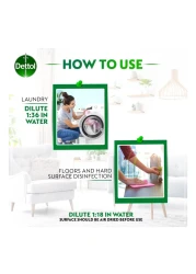 ديتول مطهر للعناية الشخصية مضاد للبكتيريا 500 ملل