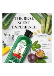 هربل إيسنسز بلسم حماية اللون خالٍ من الكبريتات بخلاصة الصبار + المانغو الطبيعي 400 ملل