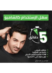 غارنييه شامبو صبغة الشعر 20 ملل - 1.0 أسود طبيعي