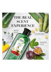 Herbal Essences Color Protect Sulfate Free Potent Aloe Vera + Mango Natural Shampoo for Dry Hair And Hair Hydrate 400ml