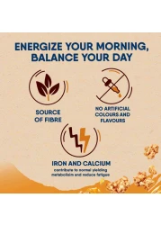 نستله فيتنس حبوب إفطار غرانولا بالشوكولاته 600 غرام