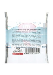 Carrefour Low in Sodium Turkish Natural Mineral Water Glass Bottle, 750ml
