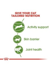 Royal Canin FHN Outdoor 2 kg Feline Breed Nutrition Cat Food
