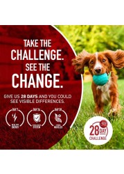 Purina ONE Chicken &amp; Rice Formula, Dog Food, 3.63kg