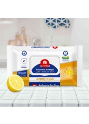 Carrefour Antibacterial Fresh Skin Wipes White 40 Wipes